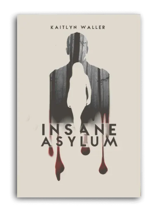 Insane Asylum illustrated book cover